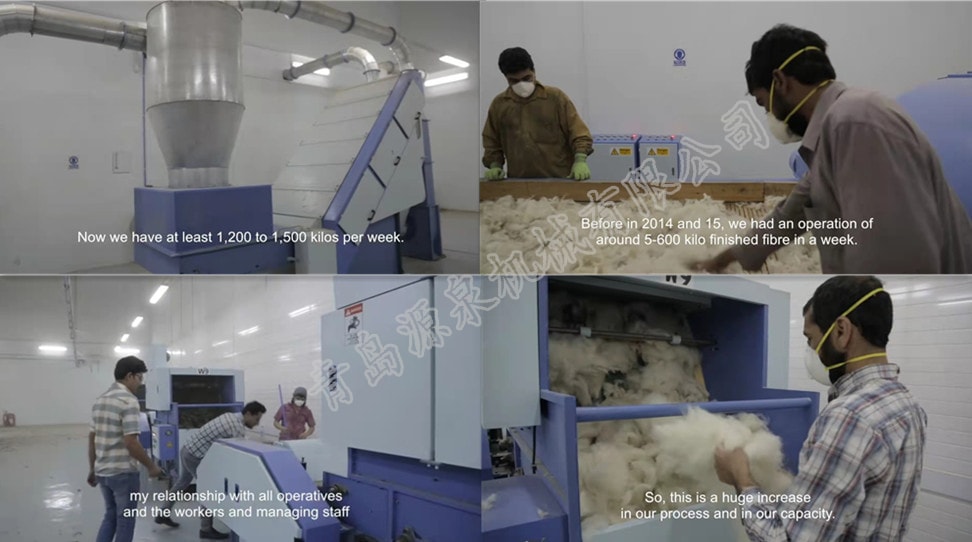 阿富汗客戶(hù)羊絨分梳機使用情況